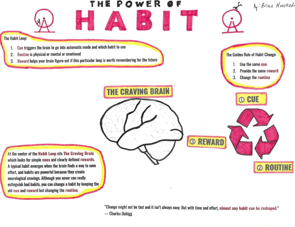 The real #Power of #Habit is the insight that your habits are what you choose them to be. It is important to note that no matter how strong our willpower is, we are guaranteed to fall back into our old ways once in a while.